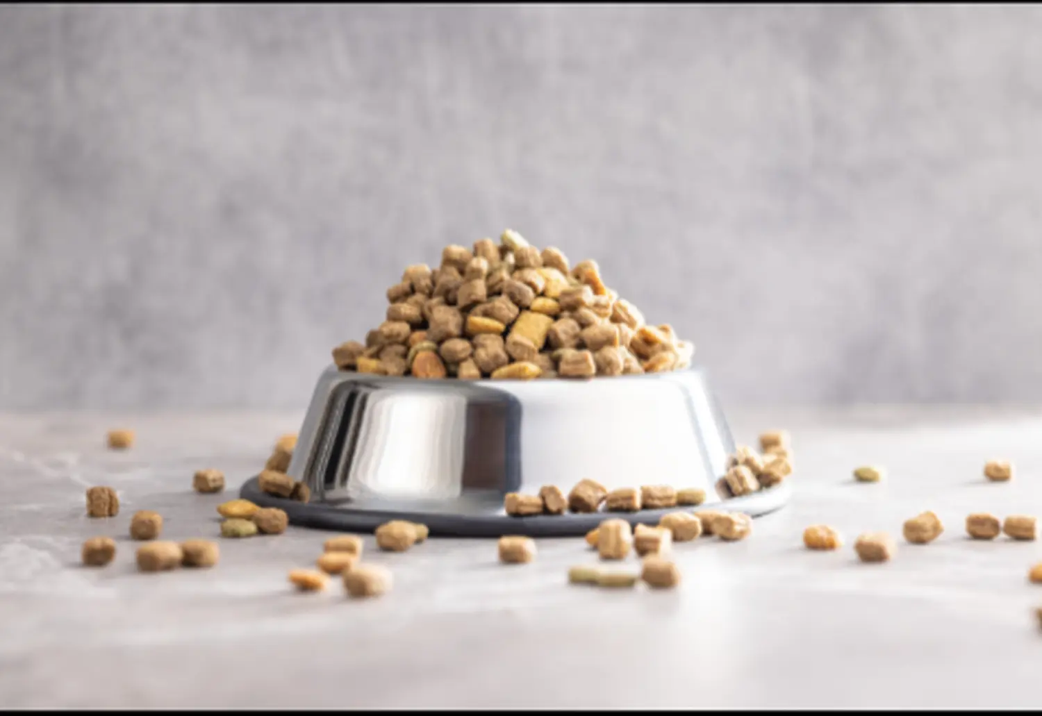 Hundefutter von Bar Glanz